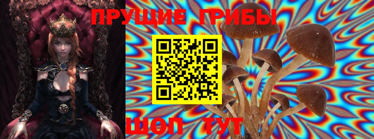 Псилоцибиновые грибы Magic Shrooms  Вход с VPN  Орёл 